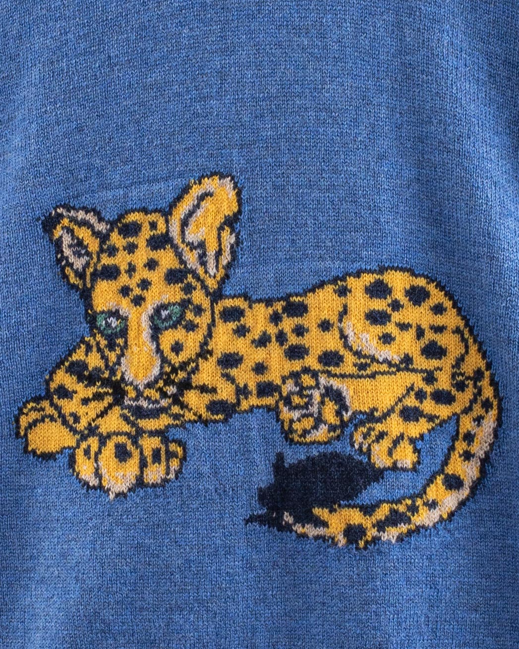 Leopard Horizon Sweater